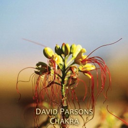David Parsons - chakra David Parsons - chakra