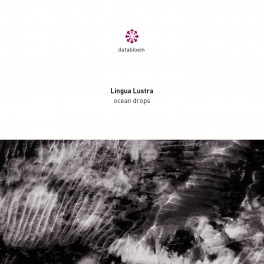 Lingua Lustra – ocean drops Lingua Lustra – ocean drops