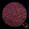 Innesti + Jacob Newman – Spoke Of Several