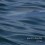 Urenga - pacific depths